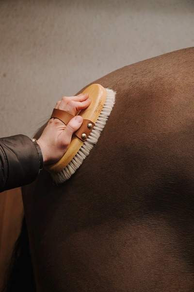 Szczotka nabłyszczająca Medium with Horse & Goat Hair - Kentucky Grooming Deluxe