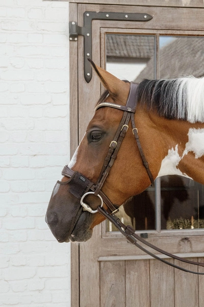 Kentucky maska na nos chroniąca przed owadami - brązowa