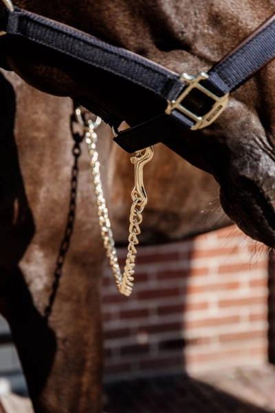 Kentucky skórzany uwiąz z łańcuszkiem - czarny