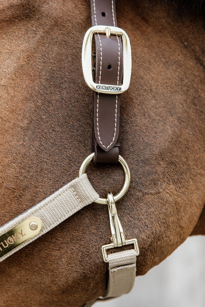 Kentucky kantar Nylon Anatomic - beżowy