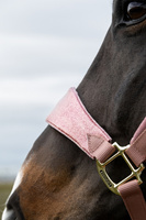 Kentucky kantar anatomiczny Velvet Unicorn Glitter - pudrowy róż
