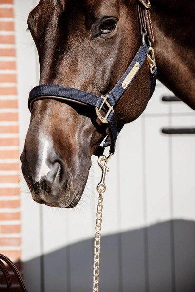 Kentucky skórzany uwiąz z łańcuszkiem - brązowy