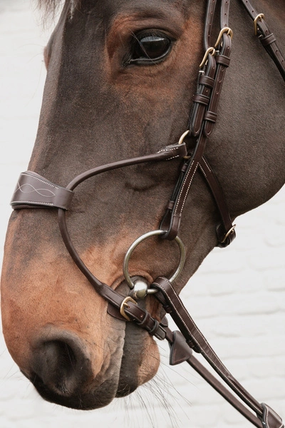 Nachrapnik Dy'on Hybrid D Collection