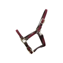 Kentucky kantar pleciony - bordowy