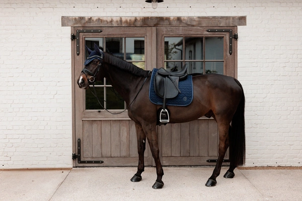 Kentucky czaprak Sparkling - czarny