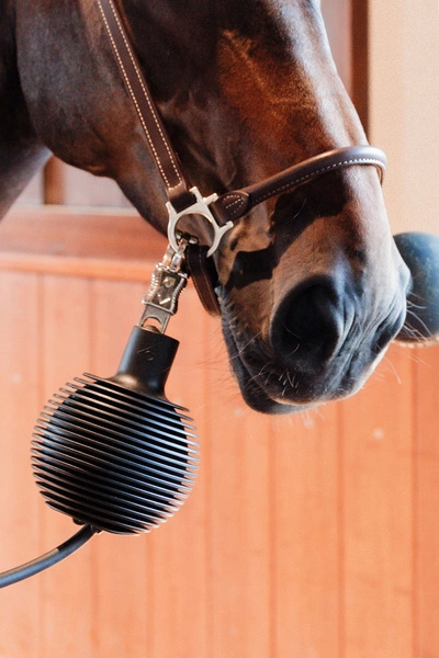 Kentucky Rubber Ball Pro - gumowa kula ochronna do uwiązów i ściany - pudroworóżowa
