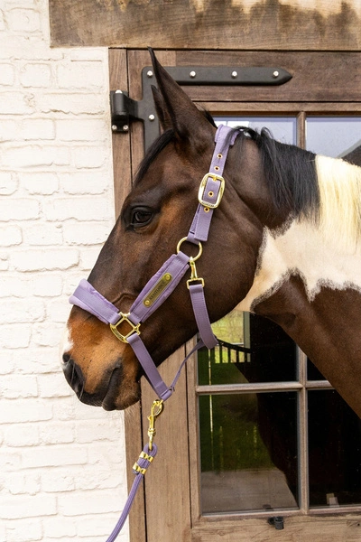 Kentucky kantar anatomiczny Velvet - fioletowy