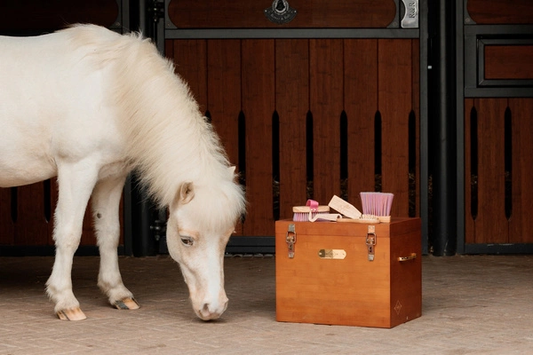 Szczotka z długim włosiem do sierści Sammy Kids Pony Kentucky Grooming Deluxe - różowa