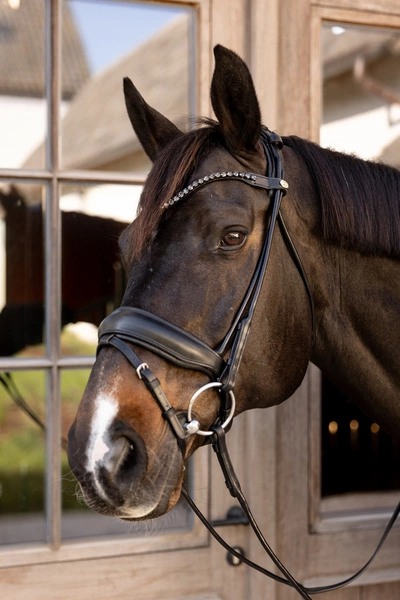Ogłowie rurkowe Dy'on ComfoHead Working