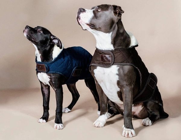 Kentucky derka dla psa Original - brązowa