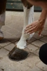 Veredus glinka chłodząca Cool Clay 2,5 kg