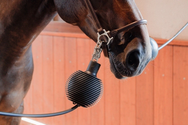 Kentucky Rubber Ball Pro - gumowa kula ochronna do uwiązów i ściany - niebieska