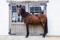 Kentucky ochraniacze Turnout Boots ProAir Short - czarne
