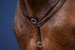 Skórzany napierśnik Dy'on Breastplate US Jumping - brązowy