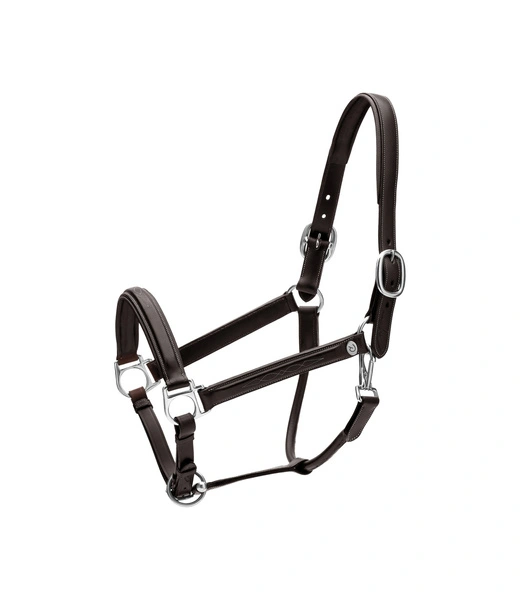 Dy'on kantar Head Collar Fancy - czarny