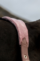  Kentucky kantar anatomiczny Velvet Unicorn Glitter - pudrowy róż