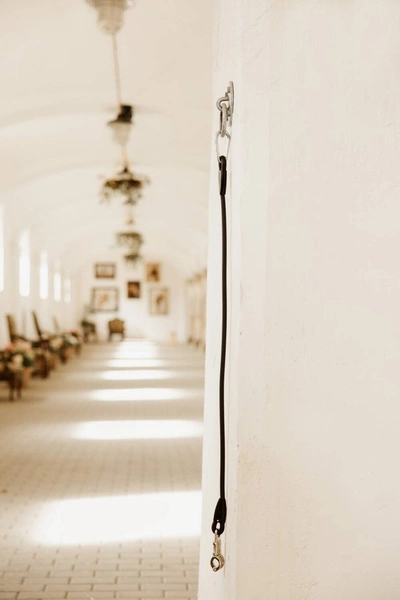 Kentucky Horse Box Lead & Cross Ties Silicone - czarny