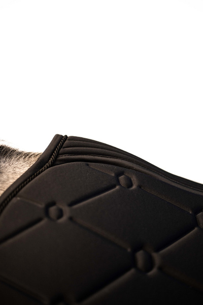 Czaprak Samshield SpineShield Jump Swarovski - czarny