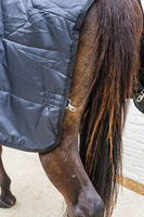 Kentucky derka stajenna Comfort Liner 300g - czarna