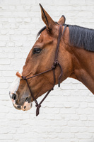 Kantar sznurkowy Kentucky Grooming Deluxe - brązowy