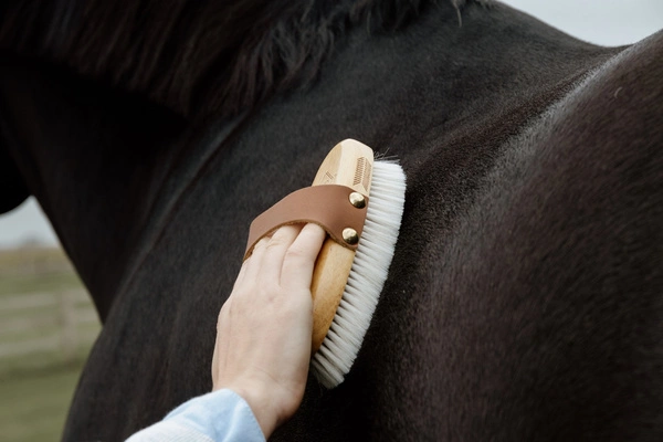 Mała miękka szczotka do sierści - Kentucky Grooming Deluxe