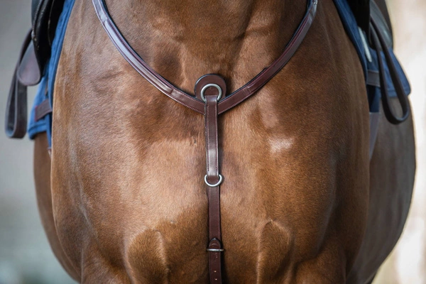 Skórzano-elastyczny napierśnik Dy'on Breastplate New English