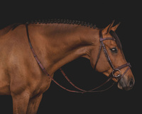 Ogłowie Equiline BJ300 - brązowe