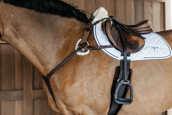 5-punktowy skórzany napierśnik Dy'on D Collection