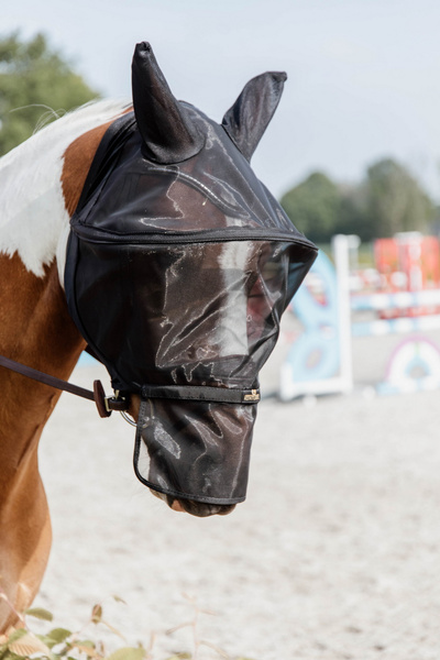  Kentucky Fly Mask PRO - maska na owady
