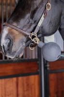 Kentucky Rubber Ball Protection - gumowa kula ochronna do uwiązów i ściany - szara