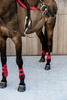 Kentucky Ochraniacze Young Horse Fetlock Velvet na zadnie nogi - czerwone
