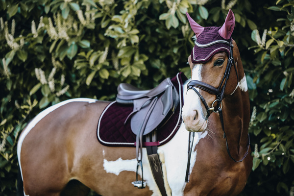 Nauszniki Kentucky Wellington Corduroy - bordowe