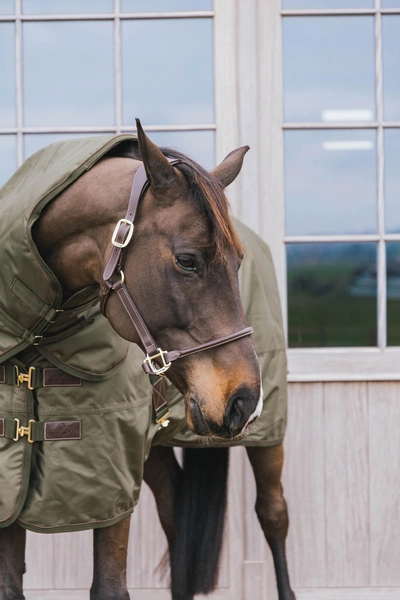 Kentucky derka padokowa All Weather Waterproof Pro 160g - khaki