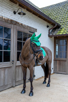 Nauszniki Kentucky Wellington Velvet Horse Printing- zielone