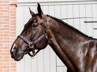 Kentucky kantar Pearls - niebieski