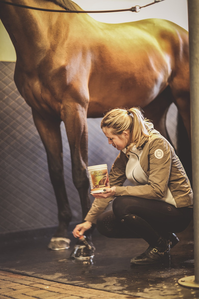 Veredus maść do kopyt Golden Hoof 5 L