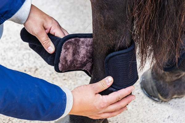 Kentucky ochraniacze na tył Eventing Boots 3D Air Flow Skin Friend Short - czarne