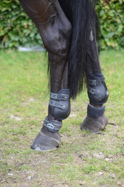 Veredus ochraniacze na tył Pro Jump Elastic - czarne