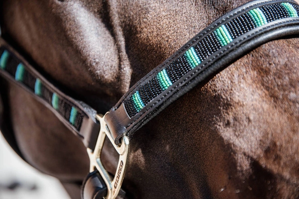 Kentucky kantar Pearls - czarny