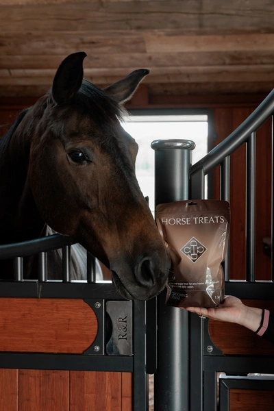 Kentucky - Jabłkowe cukierki dla konia 1kg
