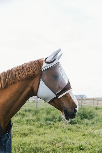 Kentucky maska na owady Skin Friendly - z uszami szara