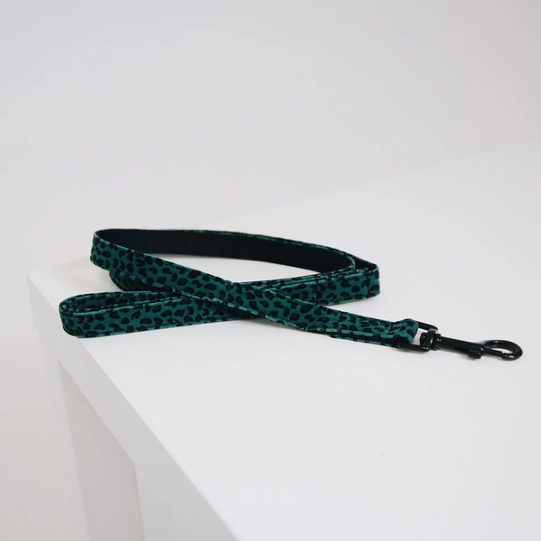 Smycz Kentucky Leopard 1,2m - zielona