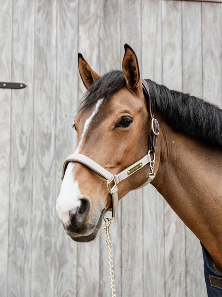 Kentucky kantar Nylon Anatomic - beżowy