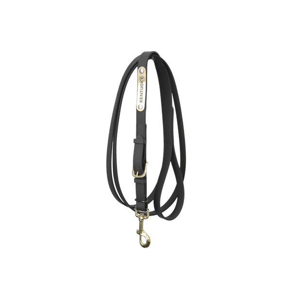 Kentucky uwiąz spacerowy - czarny