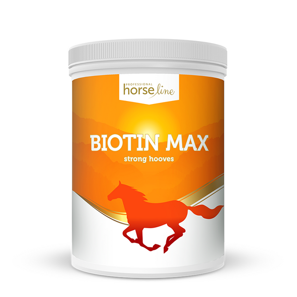 HorseLinePRO BiotinMax 1000g