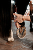 Preparat na gnijące strzałki Equi Hoof zinc paste - Kentucky Grooming Deluxe