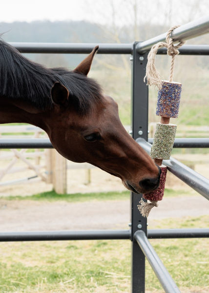 Kentucky gryzak dla koni Relax Horse Toy - freedom