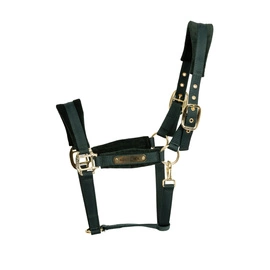 Kentucky kantar anatomiczny Velvet - butelkowa zieleń