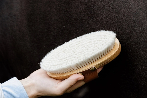 Mała miękka szczotka do sierści - Kentucky Grooming Deluxe