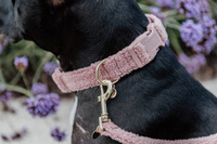 Obroża Kentucky Teddy Fleece - różowa